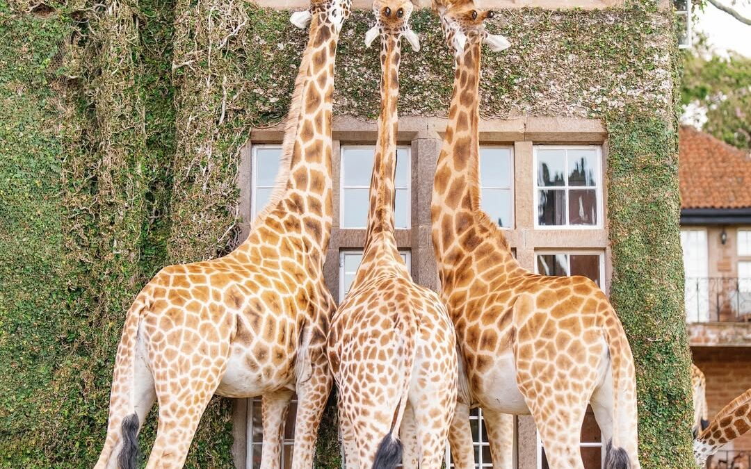 Why Australians Are Prioritising Experiences Over Things in 2025