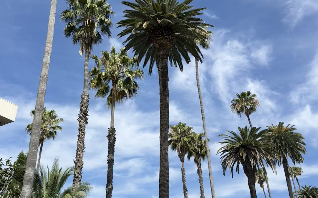 Laura In Los Angeles: Unlocking The City Beyond The Spotlight